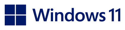 windows 11